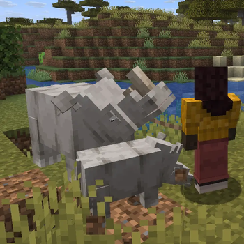 Animal Garden - White Rhinoceros