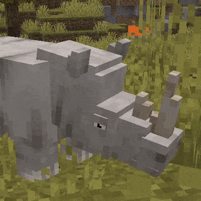 Animal Garden - White Rhinoceros