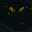 Tales From the void