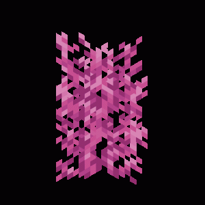 Tall Coral