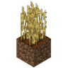 Tall Wheat