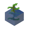 Taller Kelp